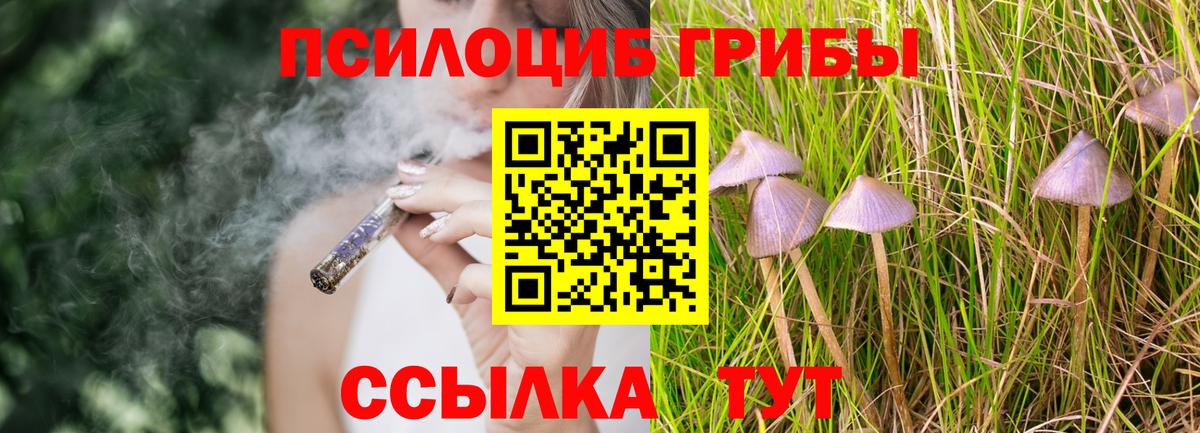 Галлюциногенные грибы мухоморы Железногорск