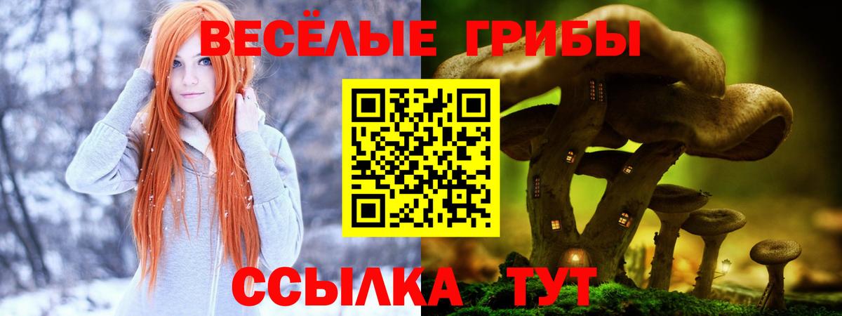 цены наркотик  Вход с VPN  Псилоцибиновые грибы мухоморы  Железногорск  Галлюциногенные грибы MAGIC MUSHROOMS 